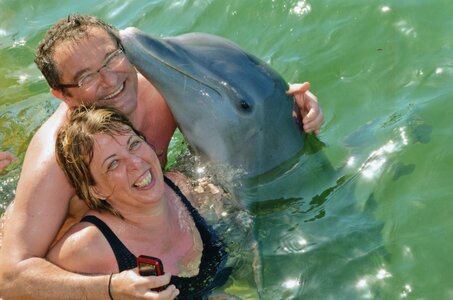 Cuba-full, cuba - dauphin002