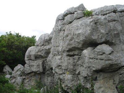 SAUVE - LESPEROU, 17 SAUVE