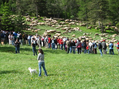 SAUVE - LESPEROU, 32 LESPEROU