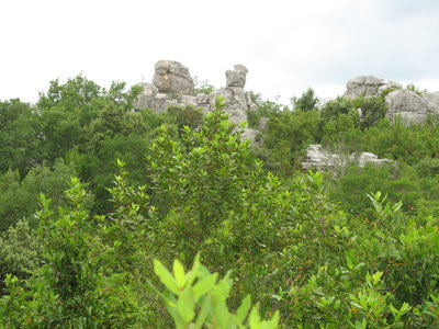 SAUVE - LESPEROU, 15  SAUVE