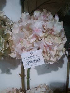 fleurs artifs, IMG_20160412_152854