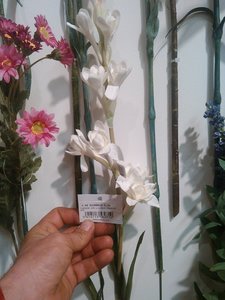 fleurs artifs, IMG_20160412_153838