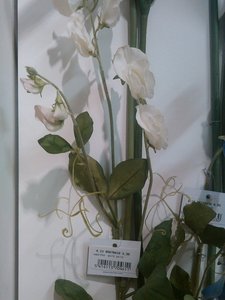fleurs artifs, IMG_20160412_154135