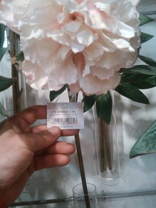 fleurs artifs, IMG_20160412_161000