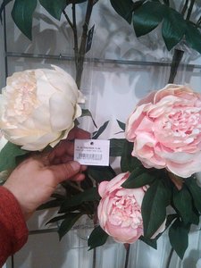 fleurs artifs, IMG_20160412_161129