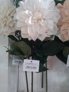 fleurs artifs, IMG_20160412_161357
