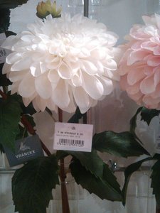 fleurs artifs, IMG_20160412_161457