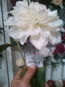 fleurs artifs, IMG_20160412_161834