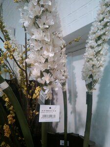 fleurs artifs, IMG_20160412_163844