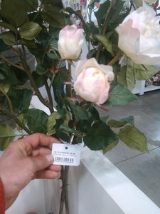 fleurs artifs, IMG_20160412_164009