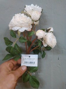 fleurs artifs, IMG_20160412_164210