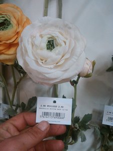 fleurs artifs, IMG_20160412_165921