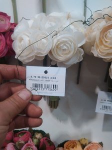 fleurs artifs, IMG_20160412_170201