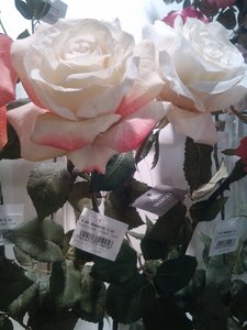 fleurs artifs, IMG_20160412_171957