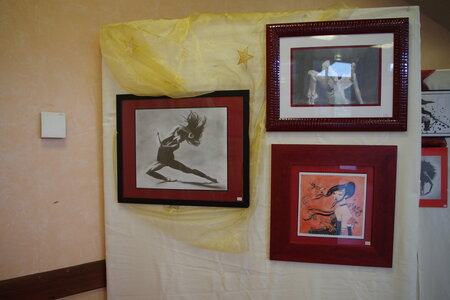 02- La Palette des Arts- Exposition 2016, 21