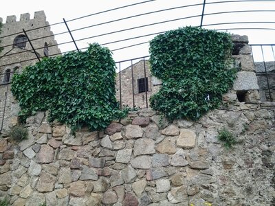 CUCUGNAN - REQUESENS - MONASTIR DEL CAMP, REQUESENS 13