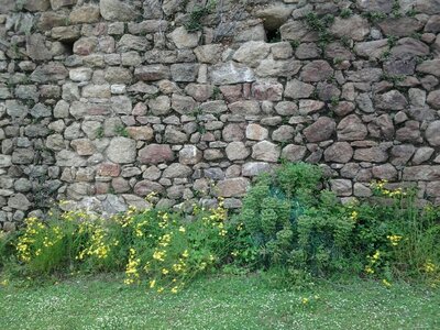 CUCUGNAN - REQUESENS - MONASTIR DEL CAMP, REQUESENS 15
