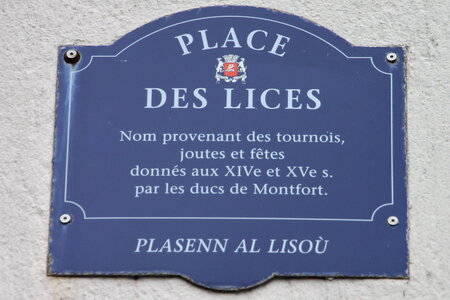 ALSHN-VANNES, 2016_06_03_Vannes_21