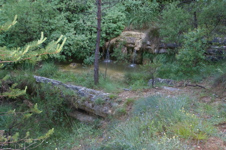 2016-06-05 ROCHE AMERE 2016, DSC03511