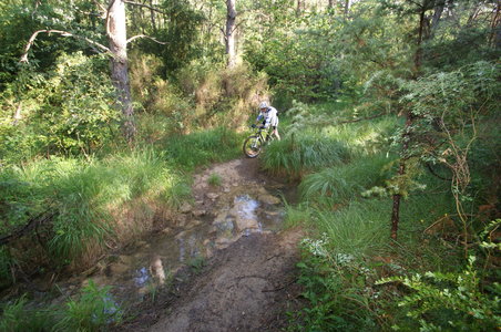 2016-06-05 ROCHE AMERE 2016, DSC03516