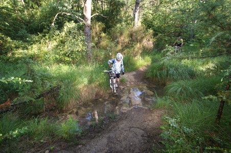 2016-06-05 ROCHE AMERE 2016, DSC03517