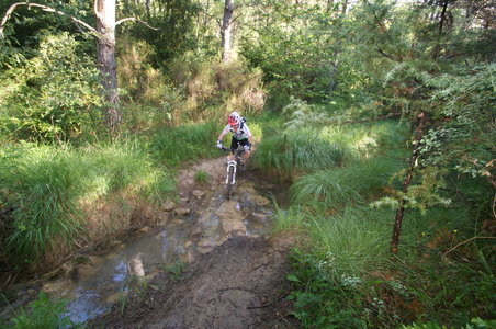 2016-06-05 ROCHE AMERE 2016, DSC03519