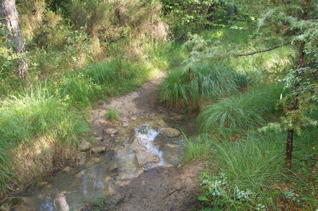2016-06-05 ROCHE AMERE 2016, DSC03522