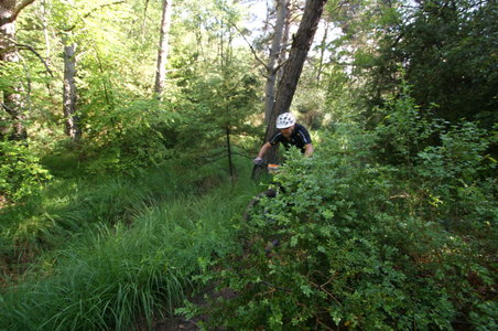 2016-06-05 ROCHE AMERE 2016, DSC03531