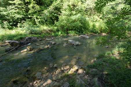 2016-06-05 ROCHE AMERE 2016, DSC03556