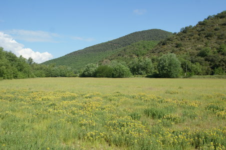 2016-06-05 ROCHE AMERE 2016, DSC03569