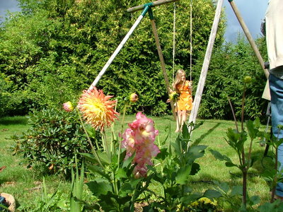 Film Regard, DSCF4301