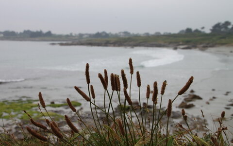 Tregunc-Concarneau, 2016_06_10_Tregunc_005