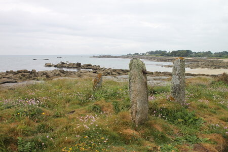 Tregunc-Concarneau, 2016_06_10_Tregunc_019