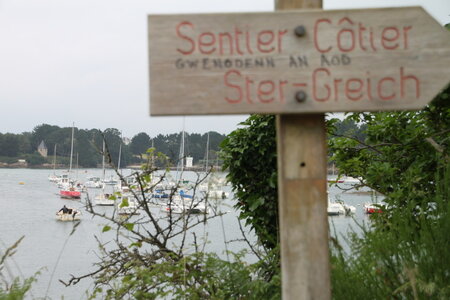 Tregunc-Concarneau, 2016_06_11_Tregunc_048