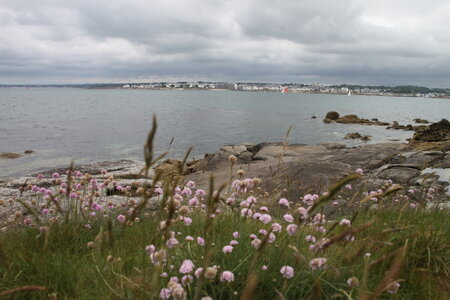 Tregunc-Concarneau, 2016_06_11_Tregunc_104