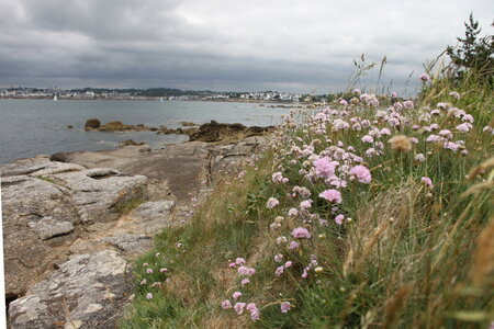 Tregunc-Concarneau, 2016_06_11_Tregunc_107