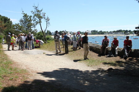 Tregunc-Concarneau, 2016_06_11_Tregunc_124