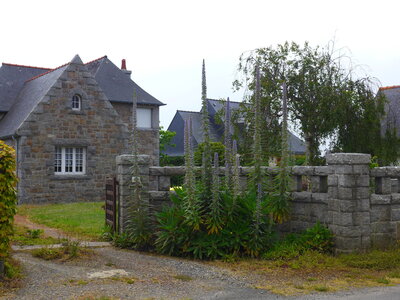 COTE DE GRANIT ROSE JUIN 2016, L1010721