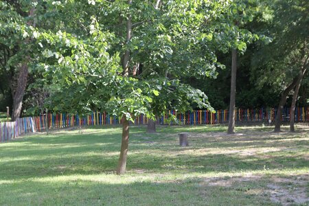 Parc des Libertés, IMG_3325