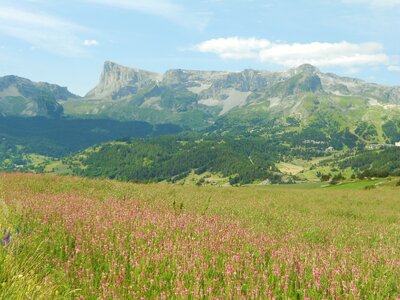 2016-07-05 lavandes et tour du DEVOLUY, DSCN3944  2 