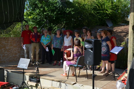 2016 - Fêtes des Fleurs, DSC_0465