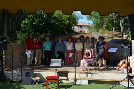 2016 - Fêtes des Fleurs, DSC_0466