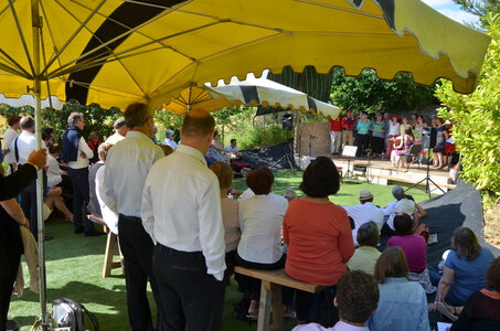 2016 - Fêtes des Fleurs, DSC_0468
