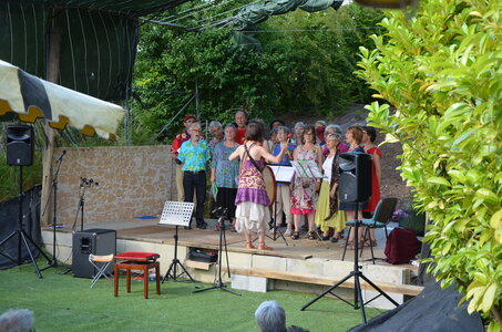 2016 - Fêtes des Fleurs, DSC_0475