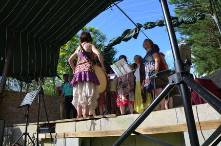 2016 - Fêtes des Fleurs, DSC_0479