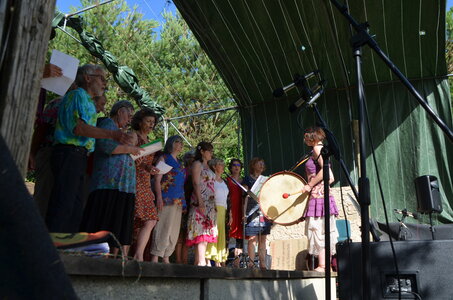 2016 - Fêtes des Fleurs, DSC_0480