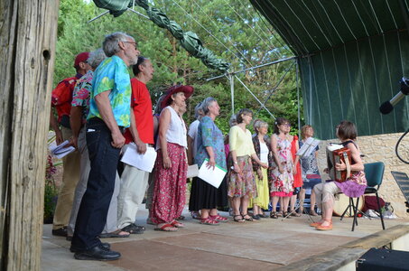 2016 - Fêtes des Fleurs, DSC_0490