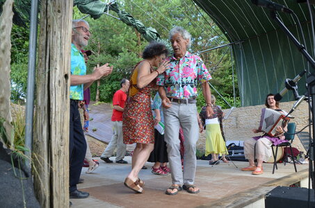 2016 - Fêtes des Fleurs, DSC_0491