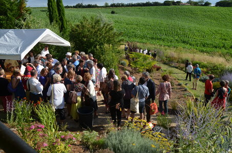 2016 - Fêtes des Fleurs, DSC_0503