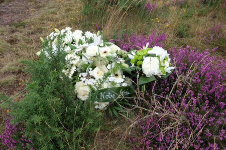 Bretagne 2016 photos Claude, DSCF7026